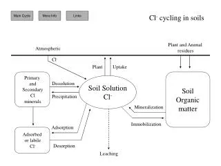 Soil Solution Cl -