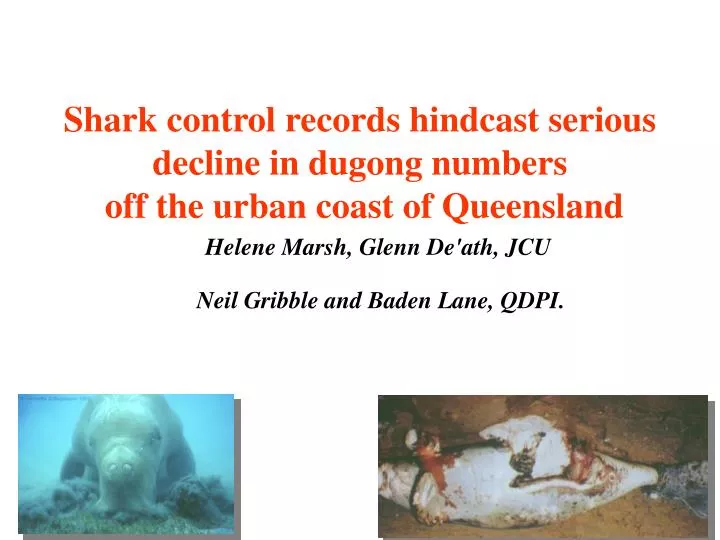 shark control records hindcast serious decline in dugong numbers off the urban coast of queensland