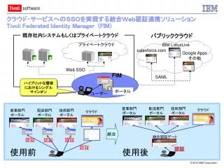 tivoli federated identity manager fim