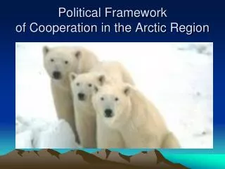Political Framework of Cooperation in the Arctic Region