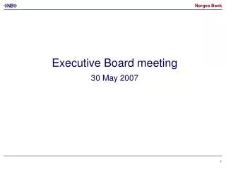 Executive Board meeting 30 May 2007