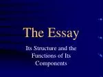 The Essay - slide 1