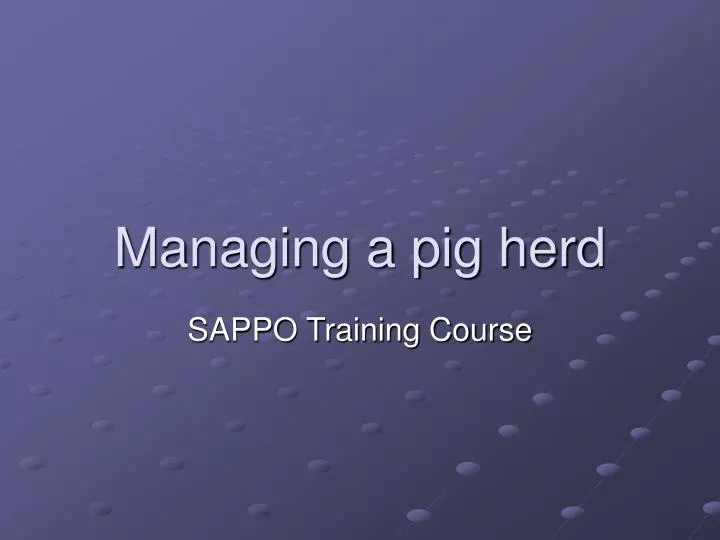 managing a pig herd