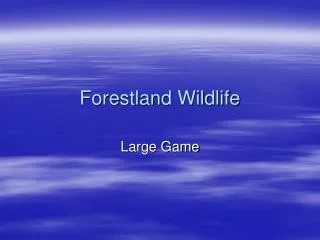 Forestland Wildlife