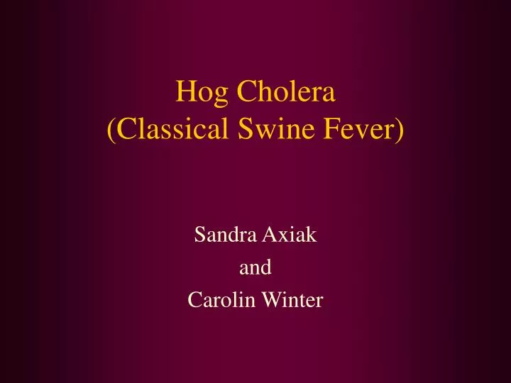 hog cholera classical swine fever
