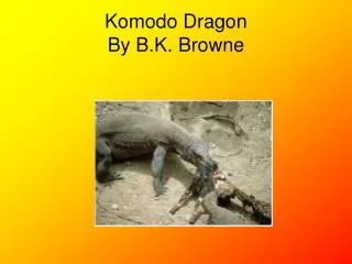 Komodo Dragon By B.K. Browne