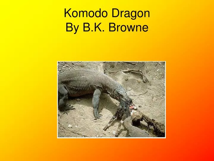 komodo dragon by b k browne