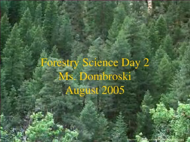 forestry science day 2 ms dombroski august 2005