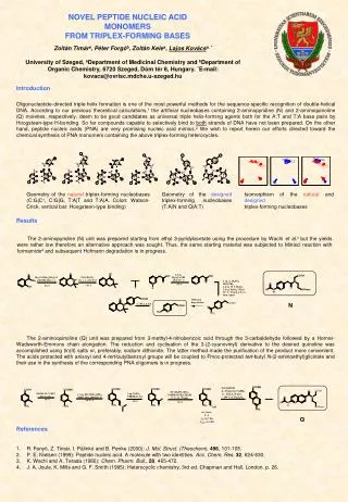 novel peptide nucleic acid monomers from triplex forming bases