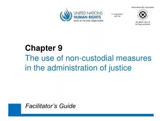 Chapter 9 The use of non-custodial measures 	in the administration of justice