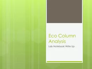 Eco Column Analysis