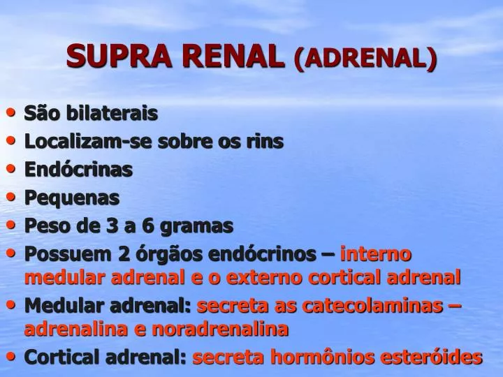 supra renal adrenal