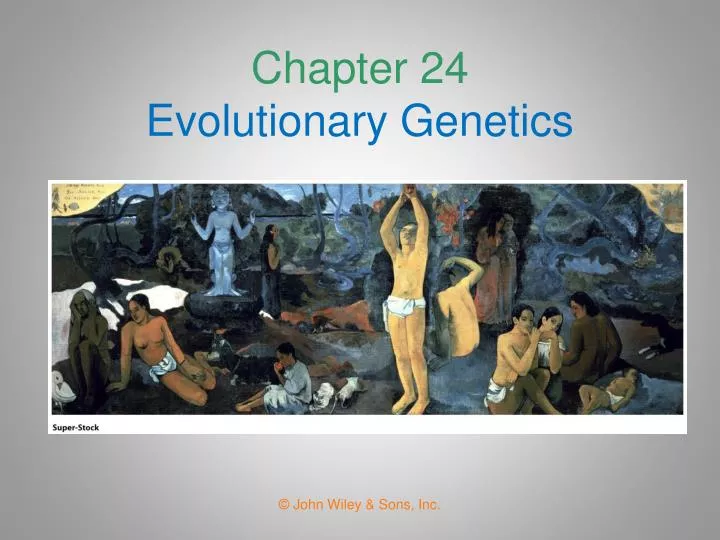 chapter 24 evolutionary genetics