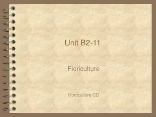 Unit B2-11