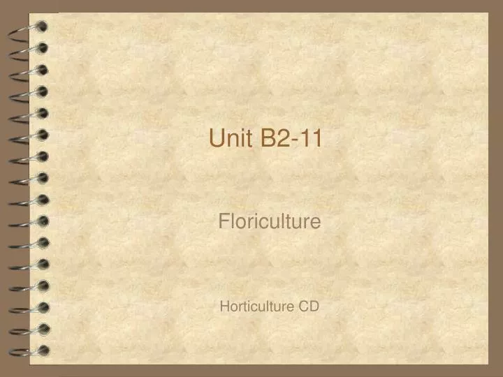unit b2 11