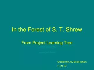 In the Forest of S. T. Shrew