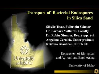 Transport of Bacterial Endospores in Silica Sand