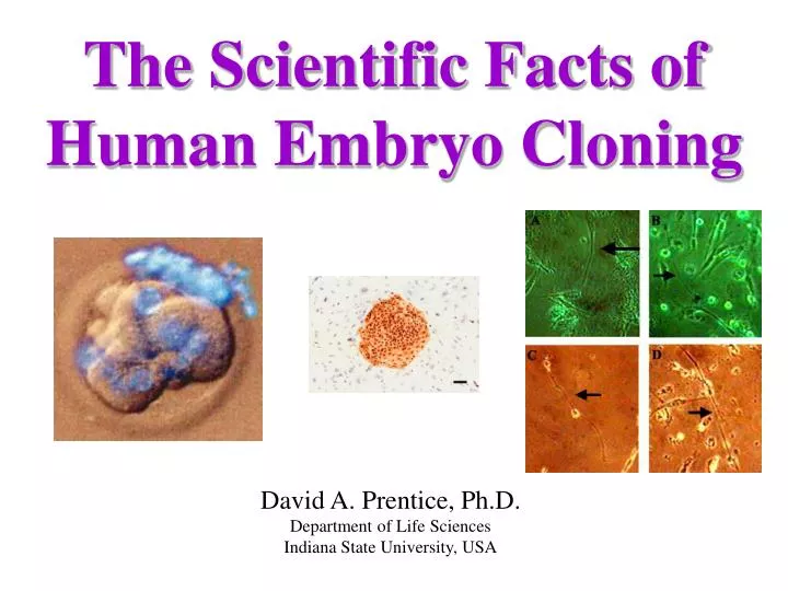 the scientific facts of human embryo cloning