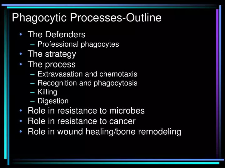 phagocytic processes outline