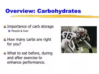 Overview: Carbohydrates
