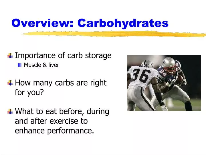 overview carbohydrates