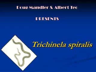 Trichinela spiralis