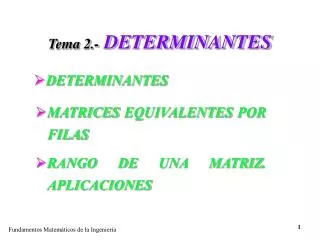 tema 2 determinantes