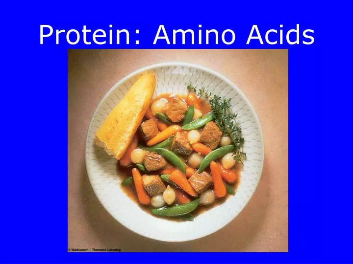 protein amino acids