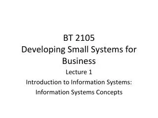BT 2105 Developing Small Systems for Business
