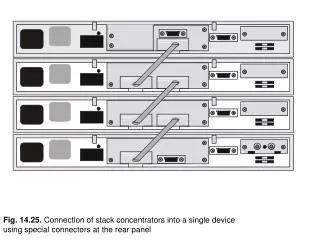 Fig. 14.25. Connection of stack concentrators into a single device using special connectors at the rear panel