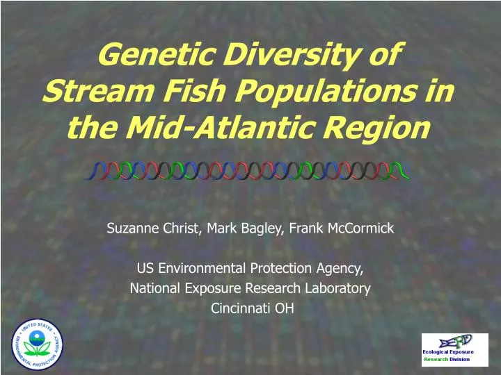 genetic diversity of stream fish populations in the mid atlantic region