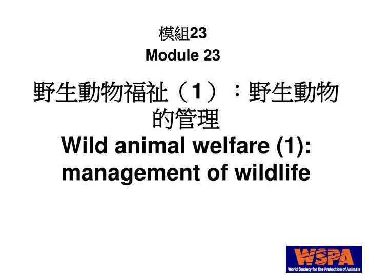 1 wild animal welfare 1 management of wildlife