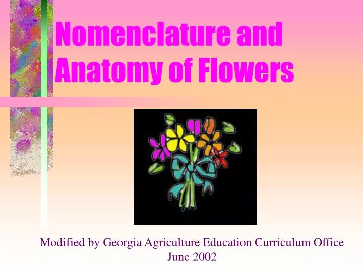 nomenclature and anatomy of flowers
