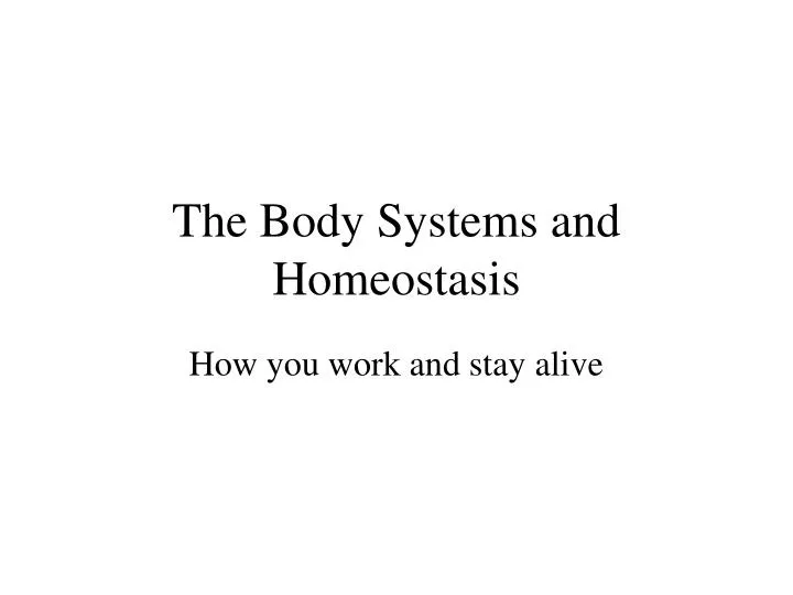 the body systems and homeostasis