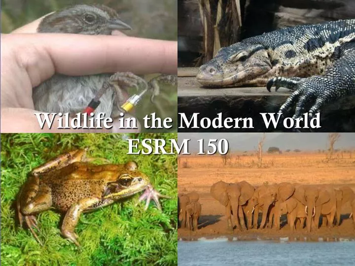 wildlife in the modern world esrm 150