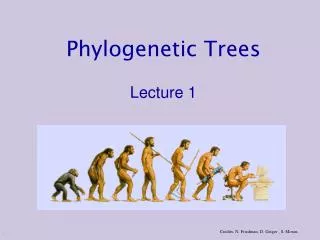 Phylogenetic Trees Lecture 1
