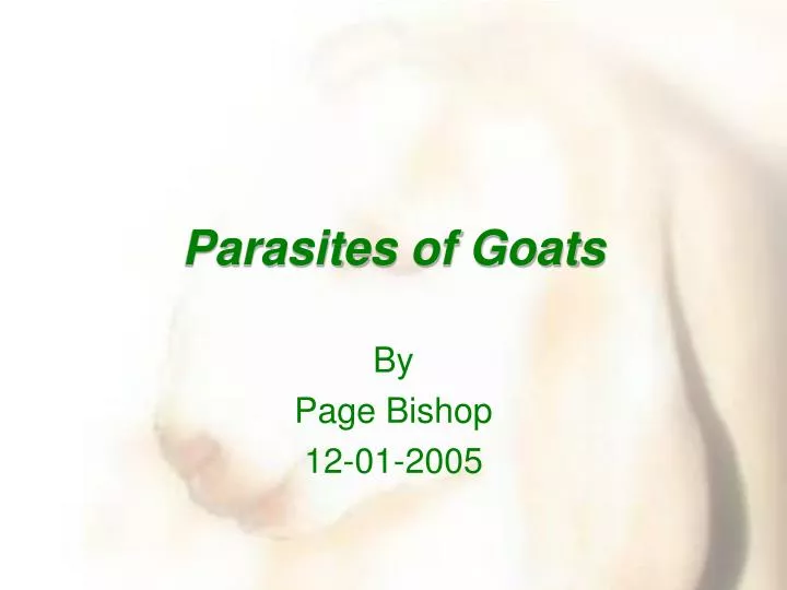 parasites of goats