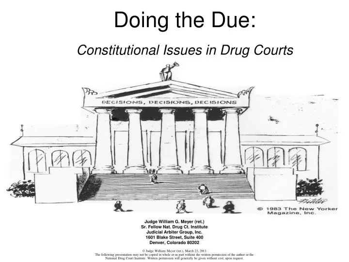 doing the due constitutional issues in drug courts