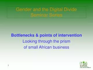 Gender and the Digital Divide Seminar Series