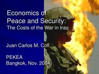 Economics of Peace and Security: The Costs of the War in Iraq