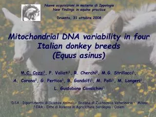 Mitochondrial DNA variability in four Italian donkey breeds (Equus asinus)