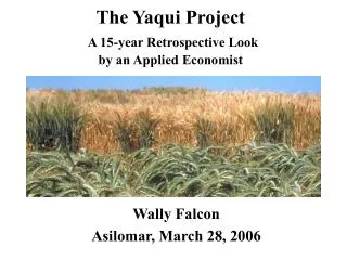 The Yaqui Project A 15-year Retrospective Look by an Applied Economist