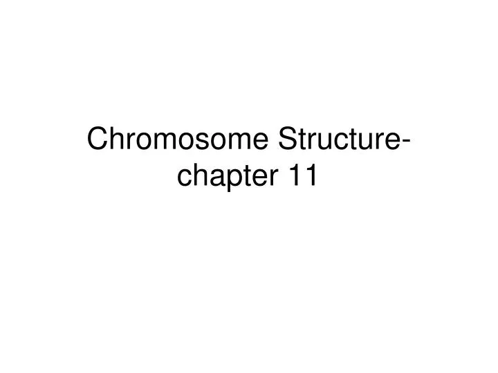 chromosome structure chapter 11