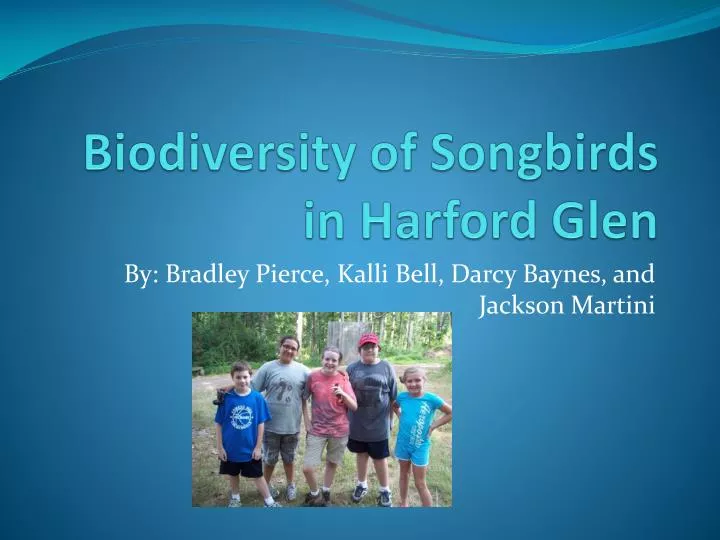 biodiversity of songbirds in harford glen