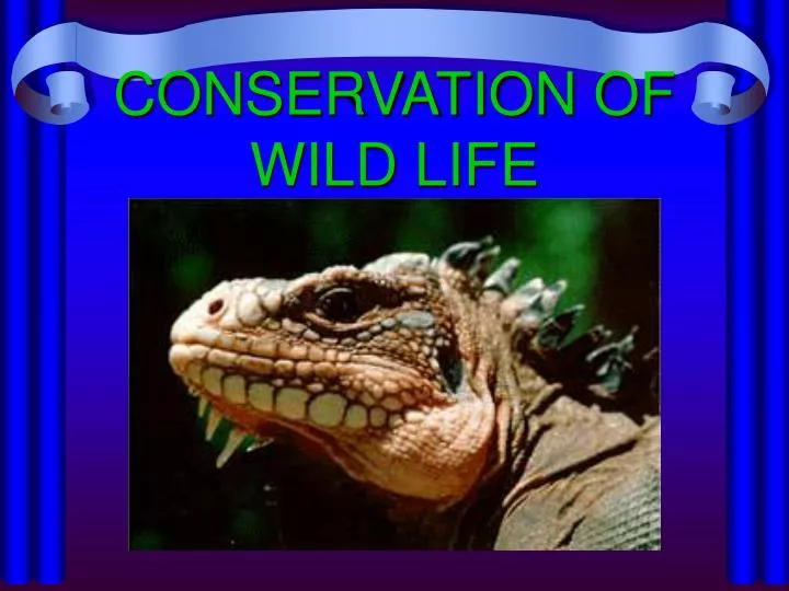 conservation of wild life