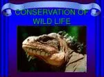 CONSERVATION OF WILD LIFE
