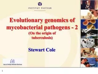 Evolutionary genomics of mycobacterial pathogens - 2 (On the origin of tuberculosis)