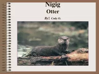 Nigig Otter By : Cody O.