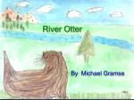 River Otter - slide 1