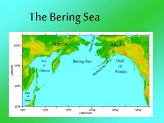 The Bering Sea